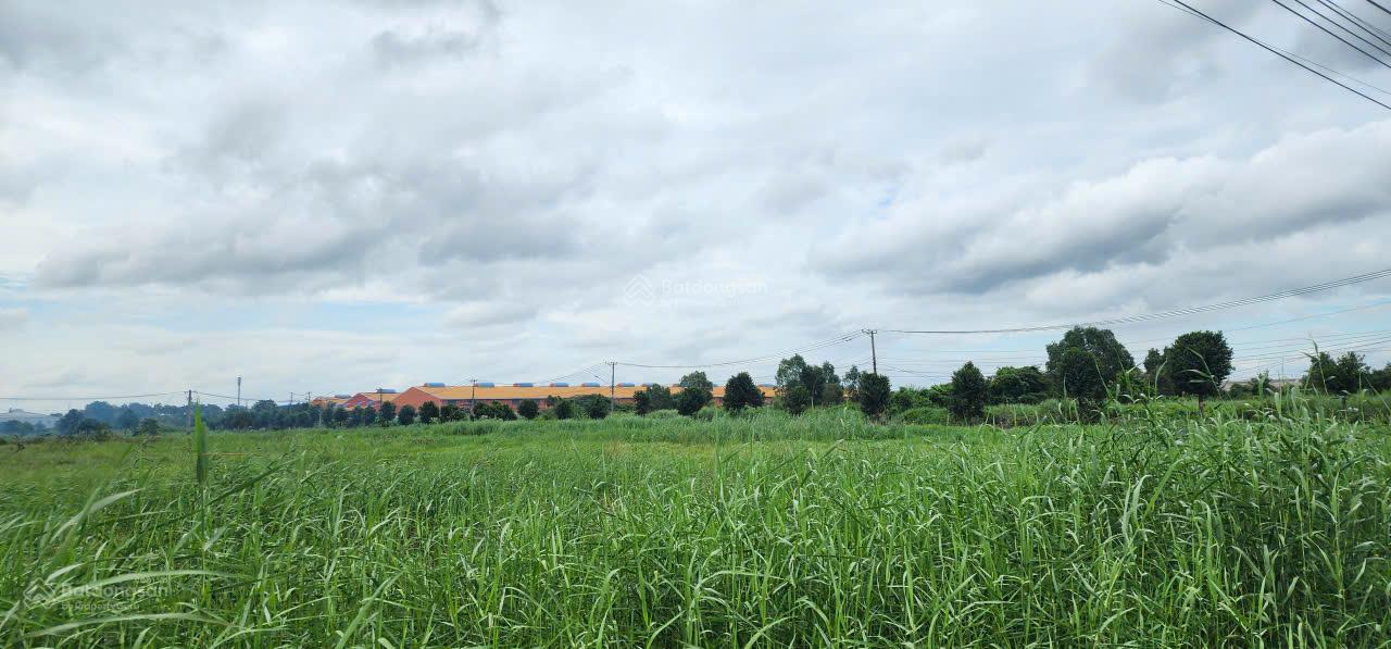 Bán đất 40.000m² KCN Hiệp Phước - Cơ hội đầu tư vàng