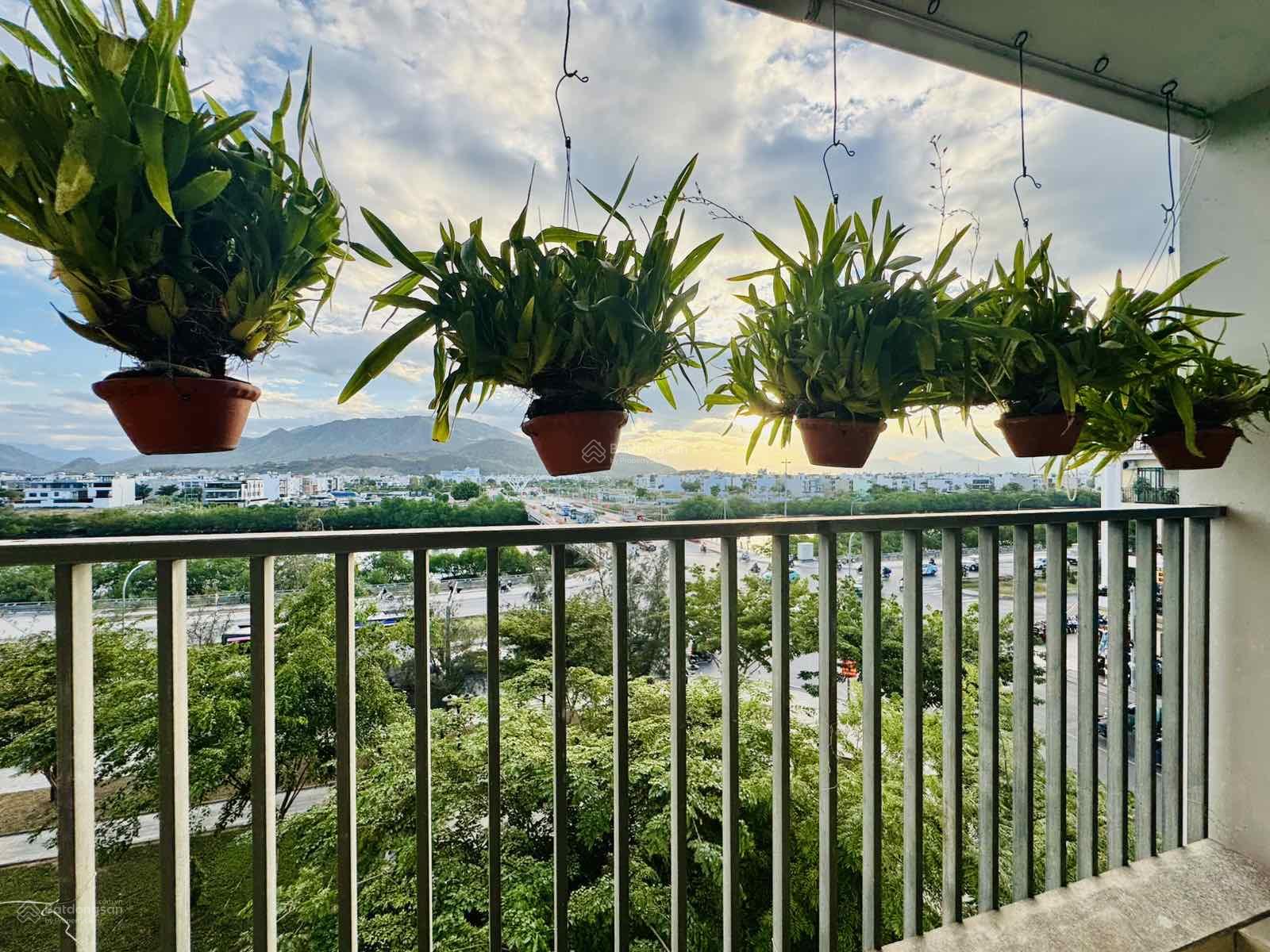 Căn hộ góc 65.2m² giá 3.1 tỷ Nha Trang - Cơ hội hiếm có!