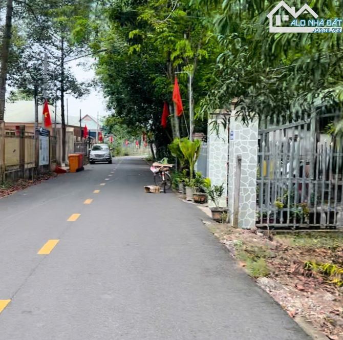 Đất thổ cư 300m² giá 480 triệu tại An Linh, Phú Giáo - Cơ hội vàng!