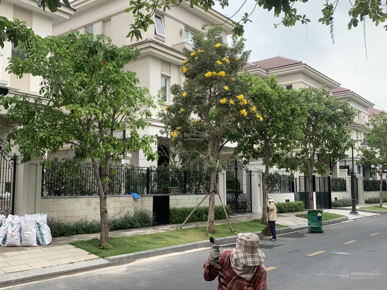 Biệt thự Saroma Villa 331.5m² giá 250 tỷ - Cơ hội đầu tư tuyệt vời!