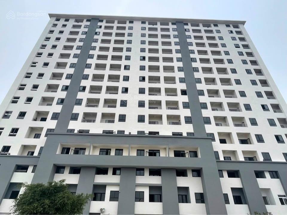 Căn hộ chung cư 70m² giá 1.5 tỷ tại Thanh Hóa - Cơ hội hiếm có