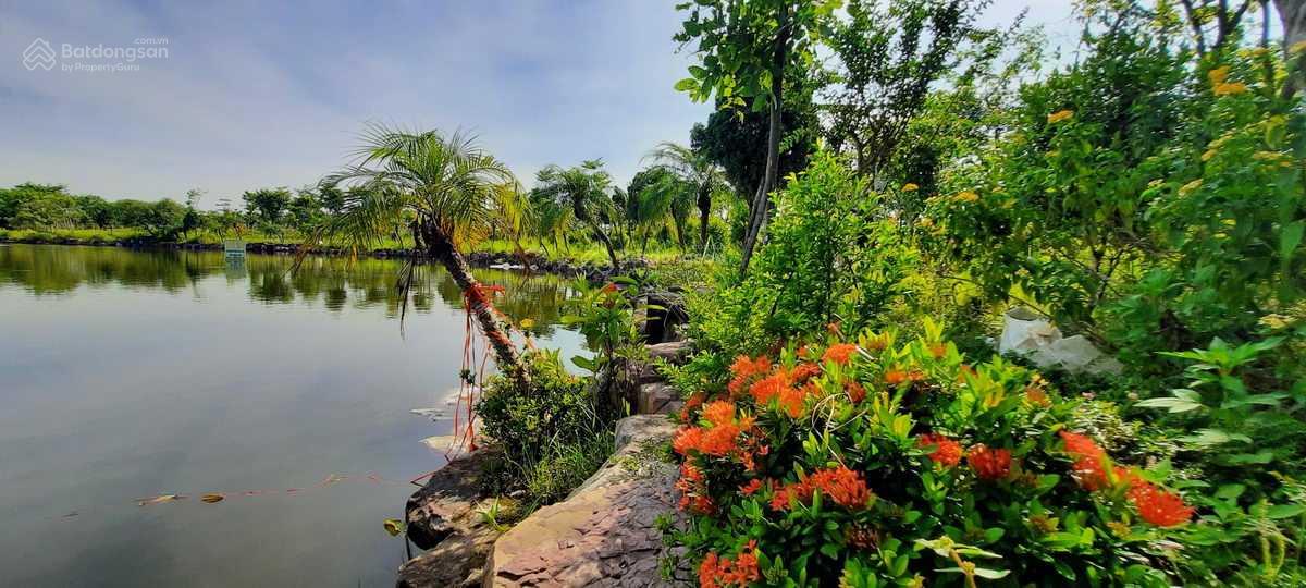 Biệt thự view hồ điều hòa 350m² Từ Sơn Garden City 19,25 tỷ - Cơ hội đầu tư hiếm có!