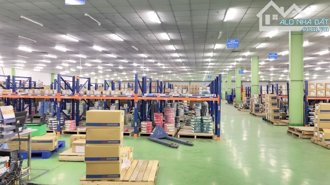 Cho thuê kho xưởng 7000m² PCCC tự động tại Quang Minh, Hà Nội - Cơ hội hiếm có!