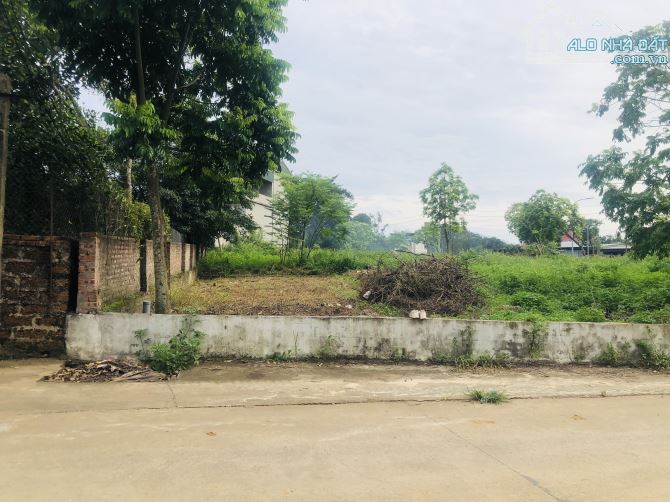 Đất nền 95m² Cổ Đông giá chỉ 2.565 tỷ - Cơ hội hiếm có!