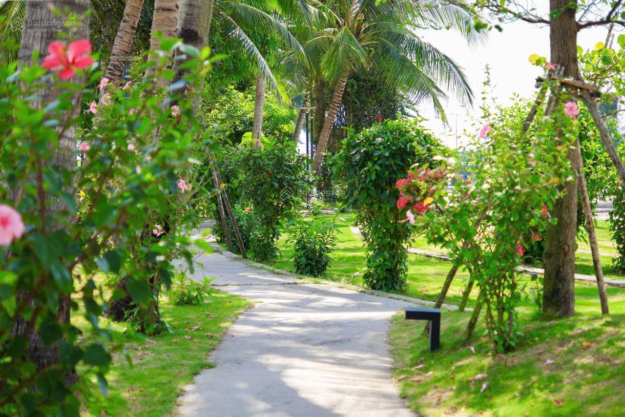 Biệt thự Casamia Balanca 250m² giá 15.74 tỷ - Cơ hội hiếm có tại Hội An!