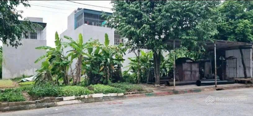 Lô đất đẹp 80m² giá 2.75 tỷ tại Quảng Hưng - Cơ hội đầu tư tuyệt vời!
