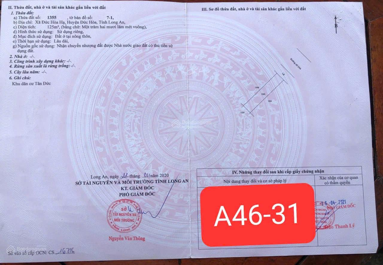 Đất nền E.City Tân Đức 250m² giá 6,15 tỷ - Cơ hội đầu tư hấp dẫn!