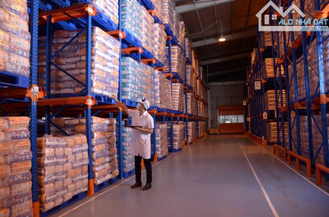 Cho thuê kho Cụm Công Nghiệp Thuận Thành 5000m² giá 80k/m² - Cơ hội hiếm có!