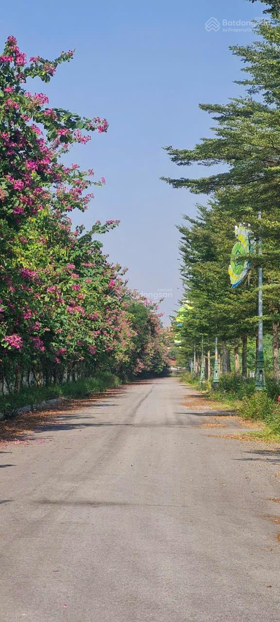 Đất nền LK11 Ô 72 Hanaka Ocean Park 100m² - Cơ hội đầu tư hiếm có!