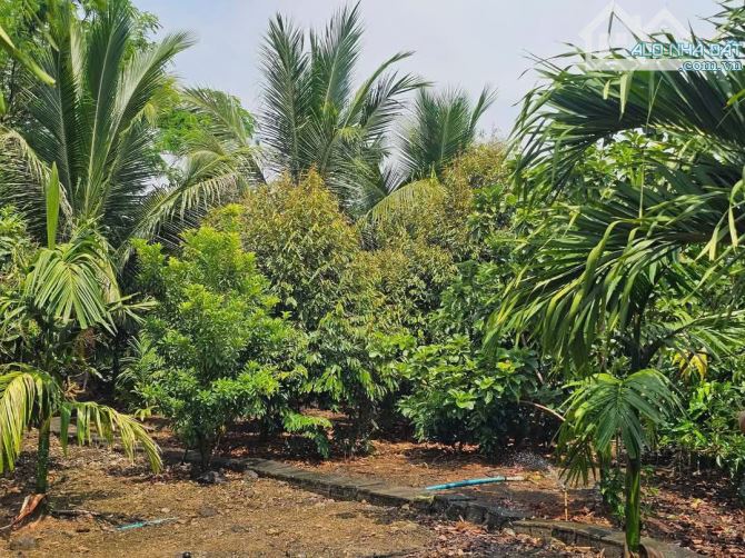 Bán Đất Thổ Vườn 2540m² giá 600 triệu - Cơ hội hiếm có tại Tân Hiệp