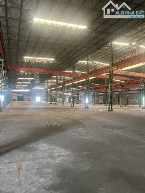 Kho xưởng cho thuê 3.000 – 6.000m² tại Bến Lức giá 210 triệu - Cơ hội vàng cho doanh nghiệp!