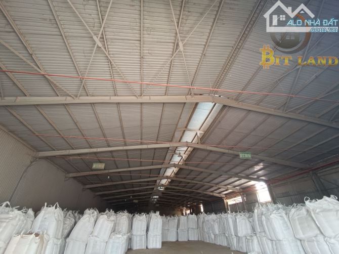 Cho thuê xưởng 10.000m² Hố Nai 3 - Cơ hội vàng cho doanh nghiệp!