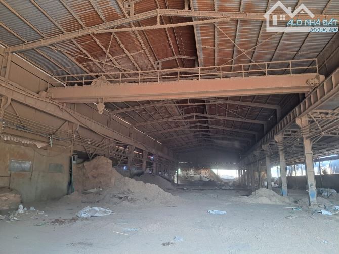 Cho thuê xưởng sản xuất 3000m² tại Thiện Tân, Vĩnh Cửu - Cơ hội đầu tư hiếm có!