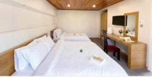 Cho thuê homestay 100m² Đà Lạt chỉ 20 triệu - Cơ hội hiếm có!