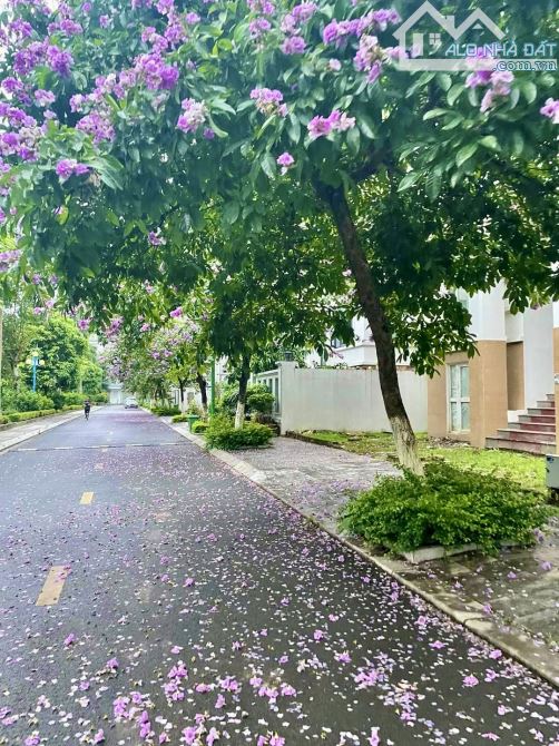 Biệt thự Lideco 225m² lô góc - Gần hồ điều hòa, Đầu tư sinh lời cao!