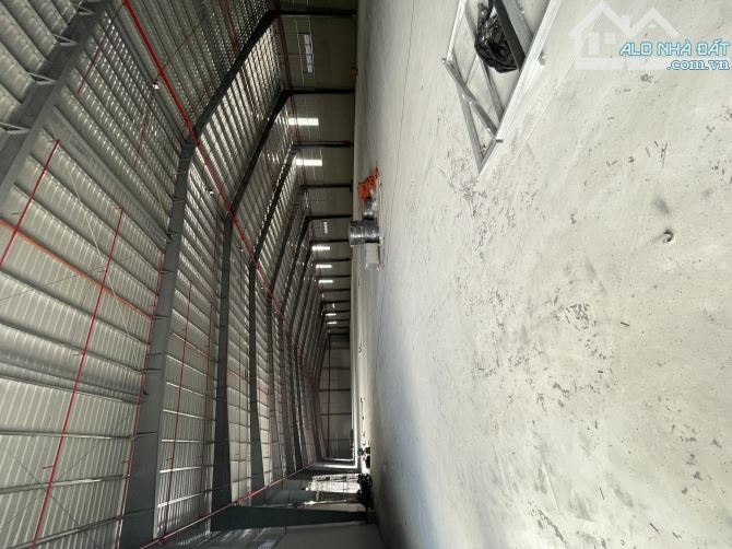 Xưởng cho thuê 3.200m² tại CCN Nhơn Bình Quy Nhơn - Cơ hội lý tưởng!