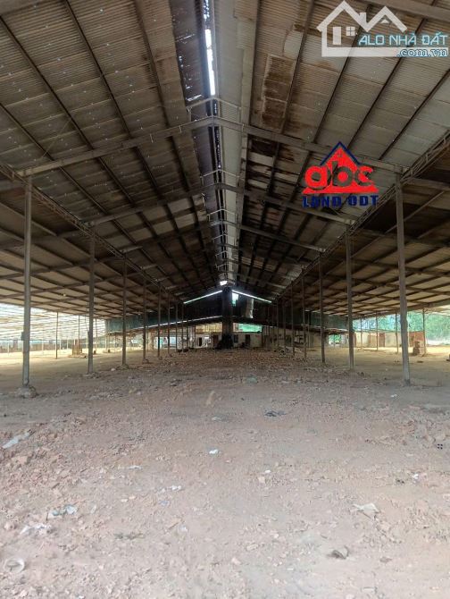 Cho thuê kho xưởng 8000m² tại An Viễn, Trảng Bom - Giá tốt, vị trí vàng!