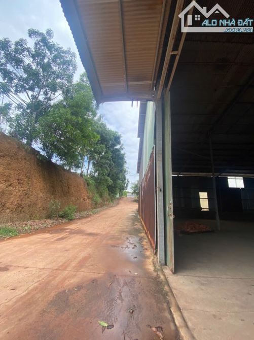 Kho xưởng 3000m² giá 70 triệu tại Tân An - Cơ hội hiếm có!