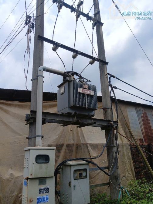 Cho Thuê Xưởng 8000m² tại An Viễn, Trảng Bom, Đồng Nai - Giá chỉ 70 triệu