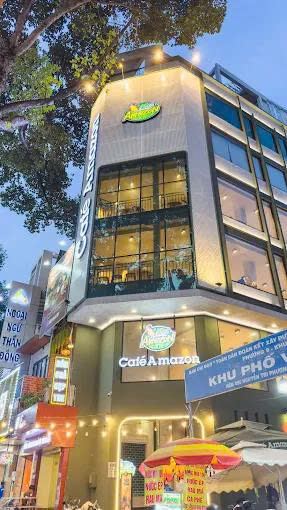 Cho Thuê Tòa Nhà 6x16m Giá 110 triệu - Địa điểm vàng Quận 10