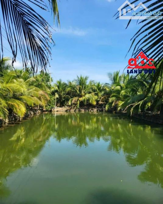 Cho thuê Nhà xưởng 2,3ha giá 200 triệu - Vĩnh Cửu, Đồng Nai