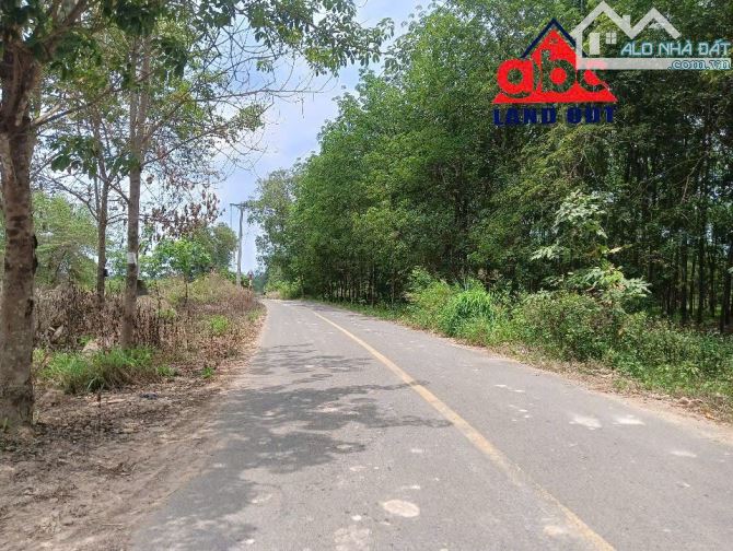 Kho xưởng 8000m² cho thuê tại An Viễn, Trảng Bom - Cơ hội vàng cho sản xuất!