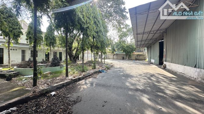 Xưởng 2500m² giá 80 triệu tại Thuận An - Cơ hội hiếm