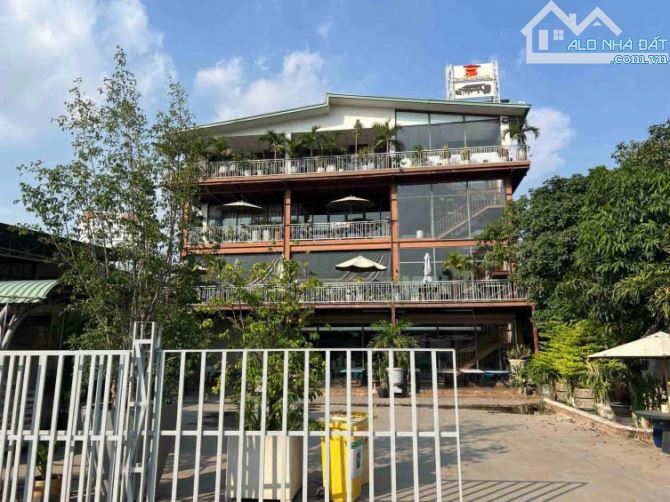 Cho Thuê Xưởng 1800m² Và Showroom Tại Thuận An - Cơ Hội Hiếm Có!