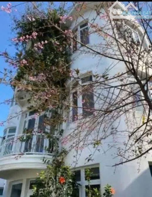 Cho thuê villa cổ sân vườn 180m² Đà Lạt giá 20 triệu - Cơ hội hiếm có!