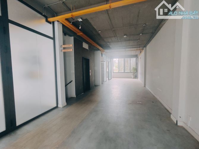 Cho Thuê Tòa Building 800m² Mặt Tiền Nguyễn Văn Thủ, Quận 1 - Cơ Hội Vàng Kinh Doanh!