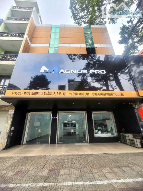 Cho thuê Building 2.400m² Quận 11 - Cơ hội kinh doanh tuyệt vời!