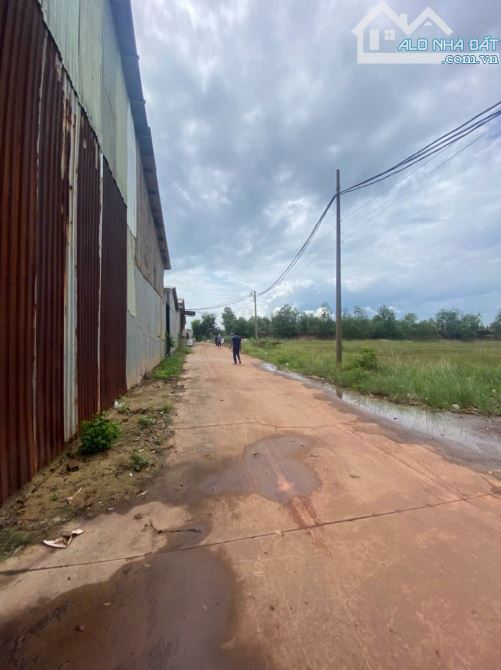 Cho thuê xưởng sản xuất 3000m² giá 70 triệu - Cơ hội đầu tư hấp dẫn!