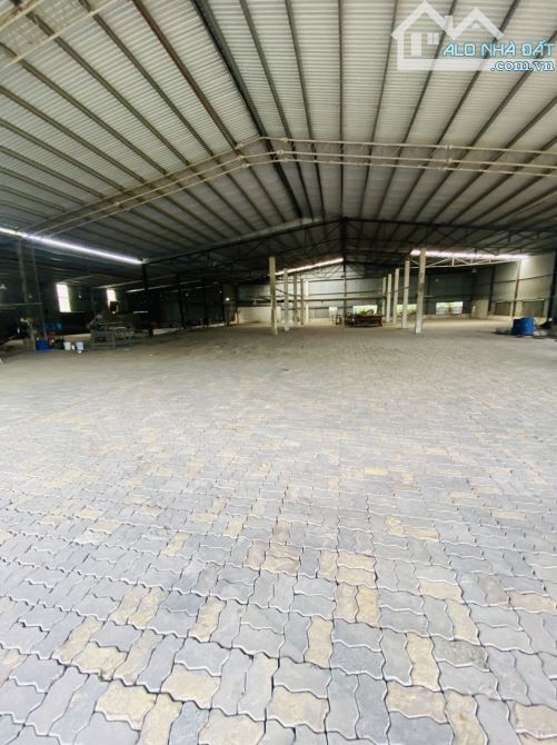 Kho xưởng 1600m² Dĩ An giá 60 triệu - Cơ hội vàng cho doanh nghiệp!