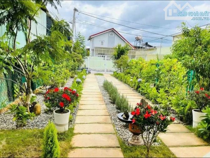 Cho thuê Homestay 400m² Đà Lạt giá 13 triệu - Cơ hội hiếm có!