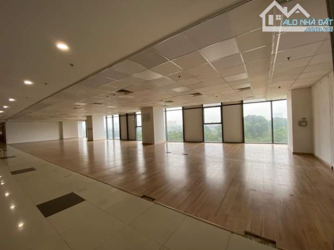 Cho thuê văn phòng 200m² giá 45 triệu tại Cầu Giấy - Cơ hội vàng cho doanh nghiệp!