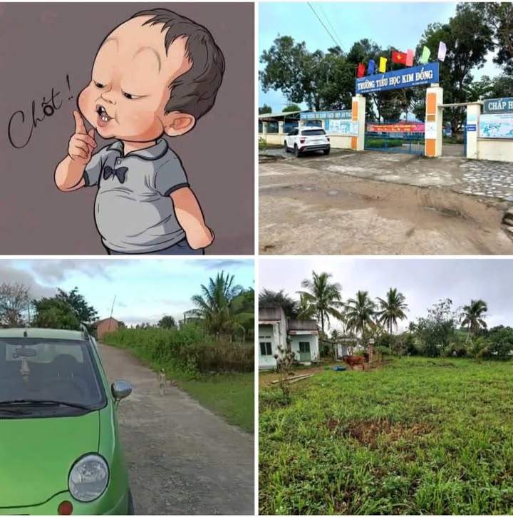 Lô đất 200m² Thôn An Thạch giá tốt - Cơ hội đầu tư hấp dẫn!