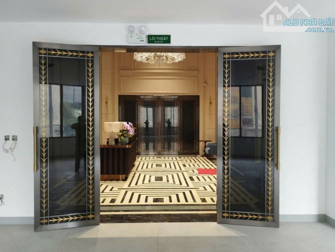 Nhà mặt phố Tô Hiến Thành 250m² giá 250 triệu - Cơ hội hiếm có!