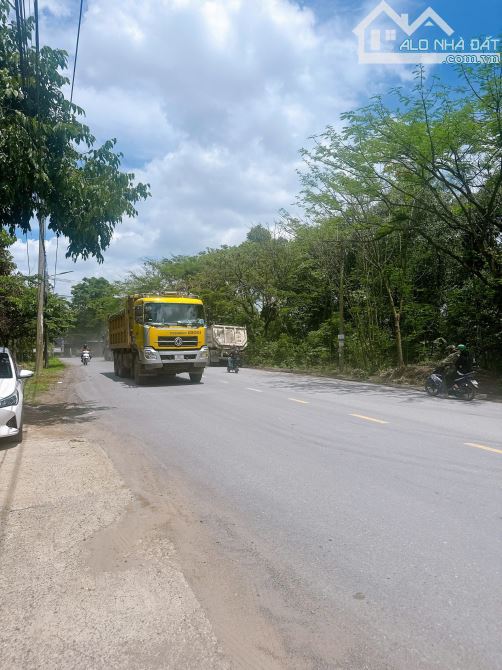 Cho Thuê Nhà Xưởng 6000m² Tại Thiện Tân - Cơ Hội Vàng Cho Doanh Nghiệp