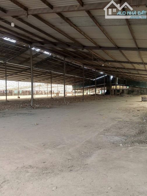 Cho Thuê Xưởng 8000m² An Viễn Trảng Bom Đồng Nai - Giá Chỉ 70 Triệu/Tháng