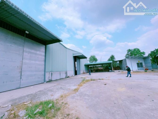 Cho Thuê Nhà Xưởng 6000m² Tại Thiện Tân - Cơ Hội Đầu Tư Hiếm Có!