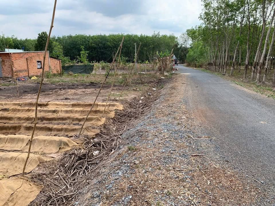 Đất Farm An Nhơn Tây Củ Chi 7833m² giá 25 tỷ - Cơ hội đầu tư hiếm có!