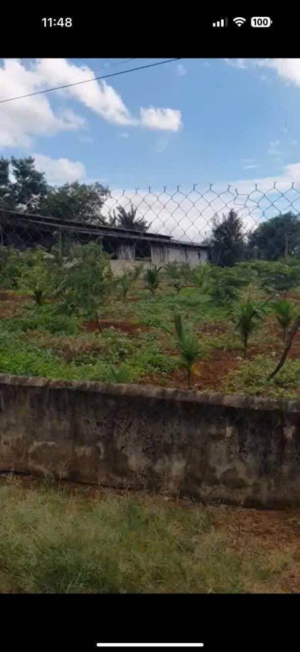 Đất nền Ea Kao 150m² giá 850 triệu - Cơ hội đầu tư hấp dẫn!