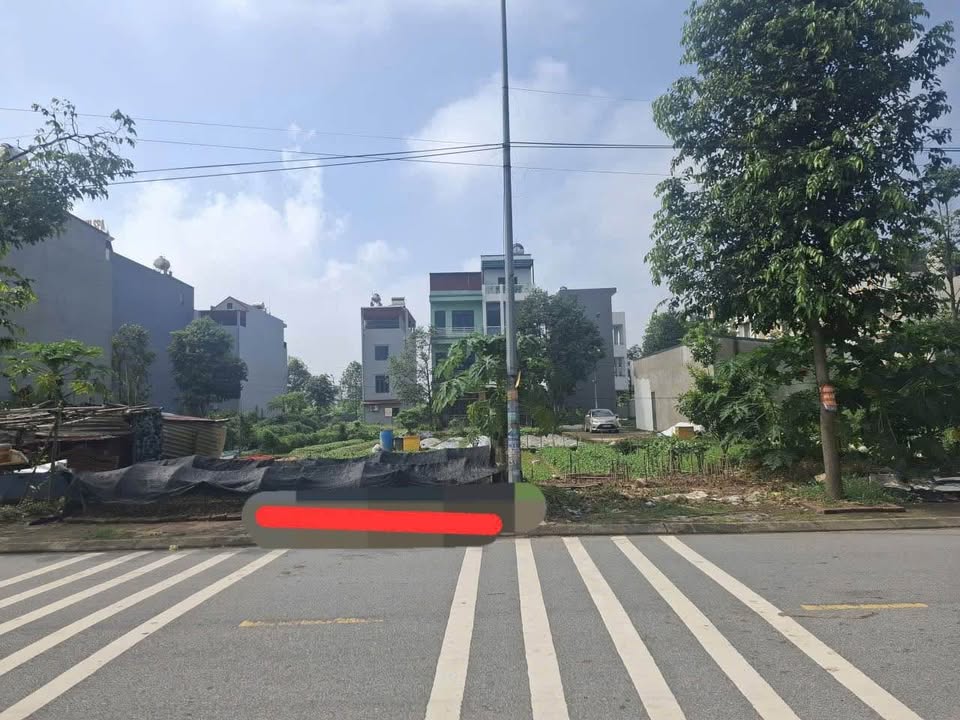 Đất nền trục chính Trần Đăng Tuyển 74m² giá 7.xx tỷ - Cơ hội đầu tư hấp dẫn!