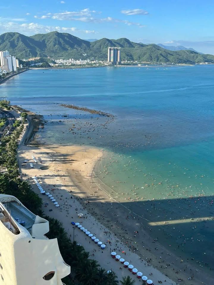 Căn hộ Mường Thanh Viễn Triều Nha Trang 70.56m² giá 3.65 tỷ - View biển tuyệt đẹp!