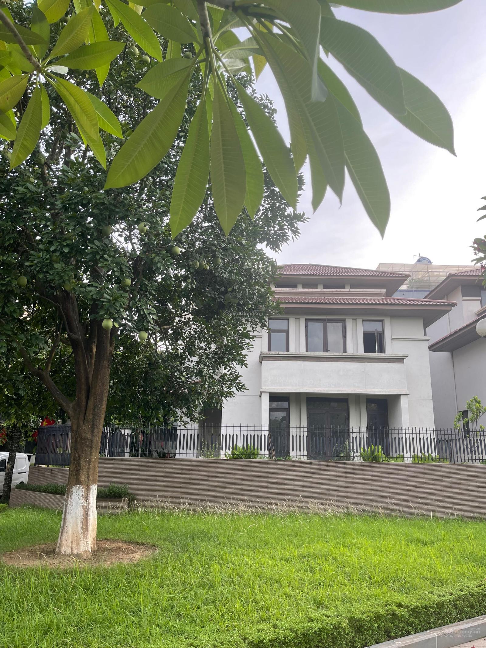 Bán biệt thự Phùng Khoang, Nam Cường 303m² giá 55 tỷ - Vị trí đắc địa, mặt tiền 19m!