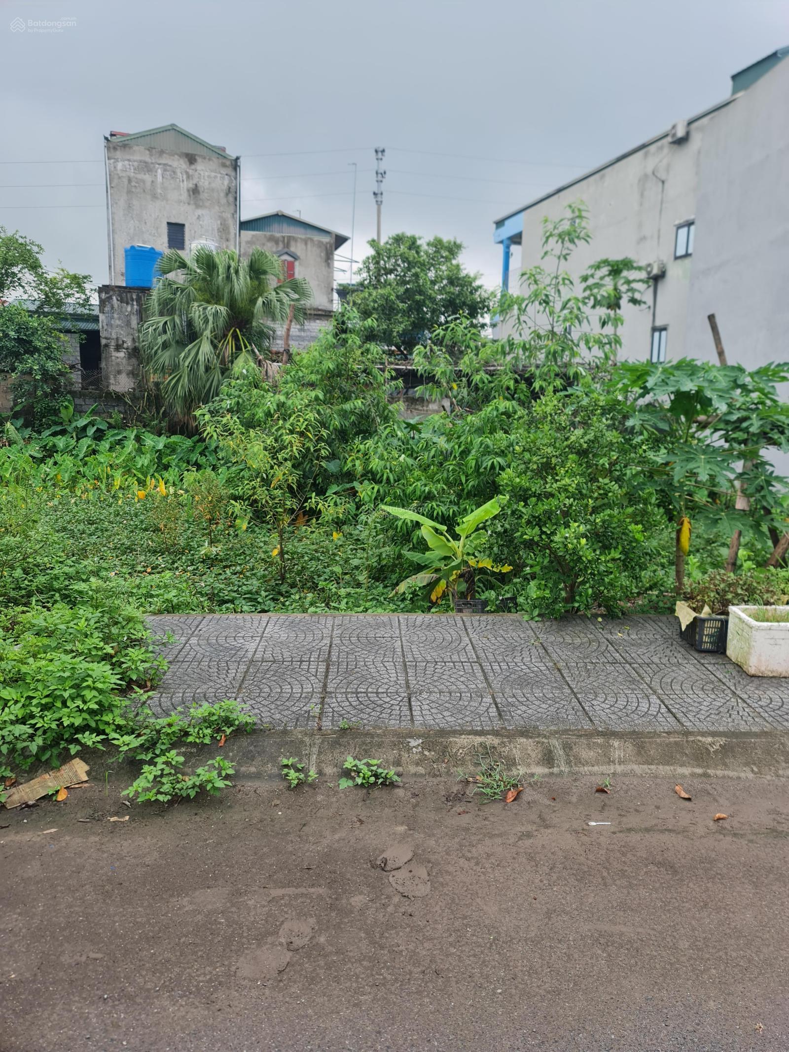 Đất nền dự án KĐT Linh Đàm 60m² giá 16,1 tỷ - Pháp lý rõ ràng, đầu tư sinh lời!