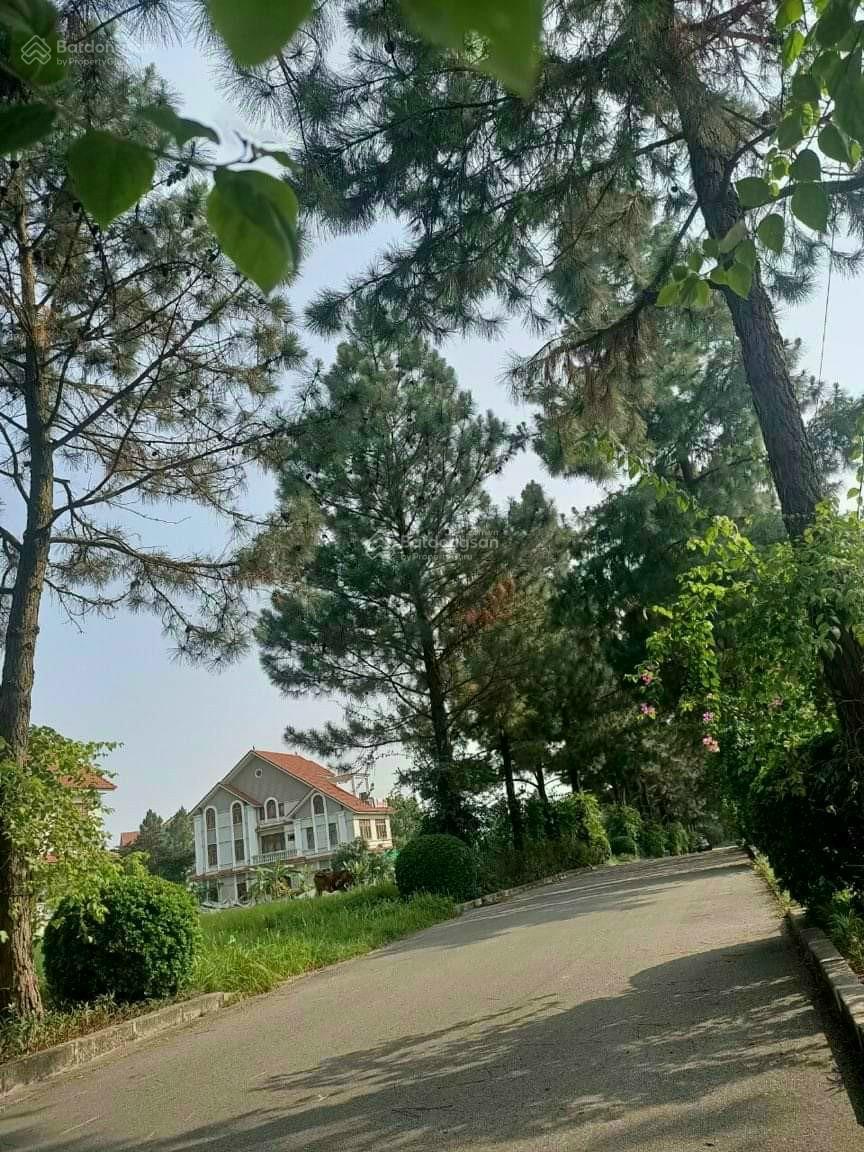 Bán nhanh căn biệt thự 200m2 Đan Phượng giá chỉ 21 tỷ - Sẵn sàng vào ở!