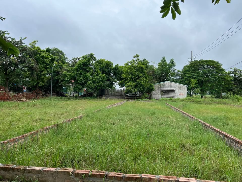 Đất nền tái định cư xã Nội Bài 115m² giá tốt - Đầu tư sinh lời cao!