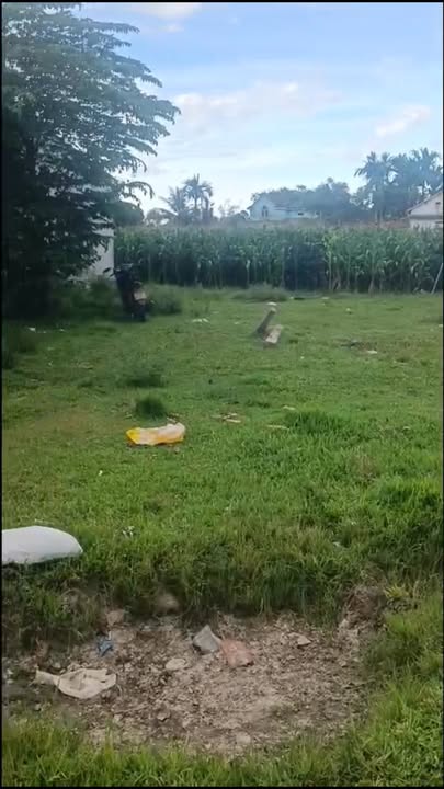 Lô đất đẹp Tam Xuân II 232m² giá 395 triệu - Cơ hội đầu tư không thể bỏ qua!