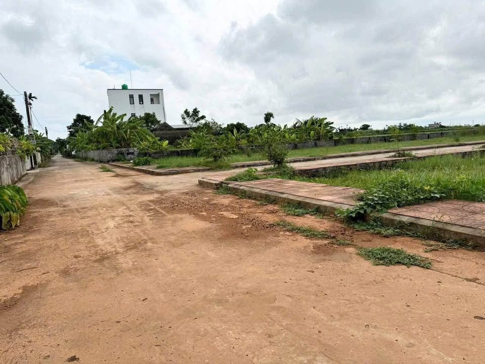 Đất nền sổ đỏ tại xã Nam Thịnh, huyện Tiền Hải, giá chỉ 700 triệu - Cơ hội đầu tư hấp dẫn!